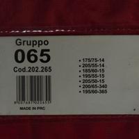 CATENE DA NEVE GRUPPO 65