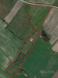 Terreno agricolo con oliveto e casa in cos