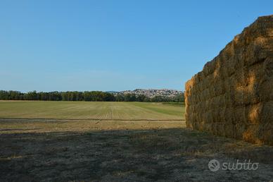 Terreno agricolo cod. N.828