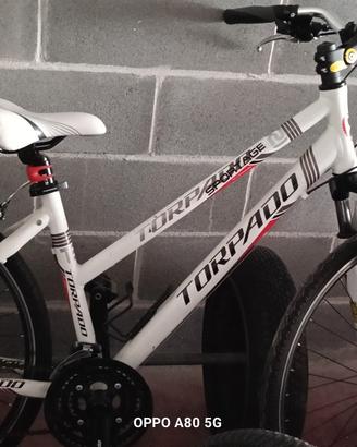 mountain-bike torpado