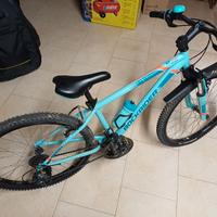Bici 24"