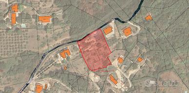 Sezze (LT) - Terreno con chalet in legno| TR370