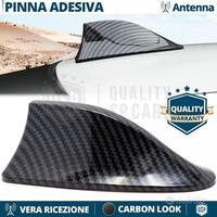 Antenna PINNA SQUALO per MERCEDES in CARBONIO