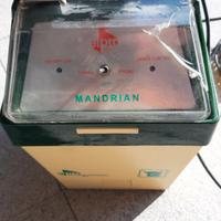 recinto elettrico per animali