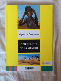Don Quijote de la Mancha libro x vacanze