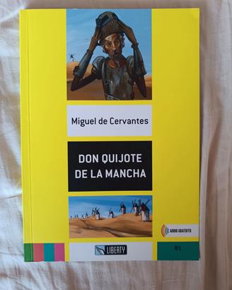 Don Quijote de la Mancha libro x vacanze
