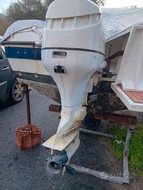 Evinrude Ficht ram 115hp