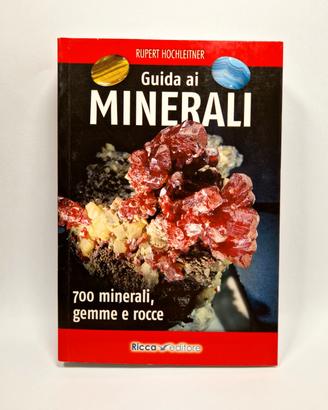 Guida ai minerali: 700 minerali, gemme e rocce