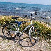 Bici Atala 