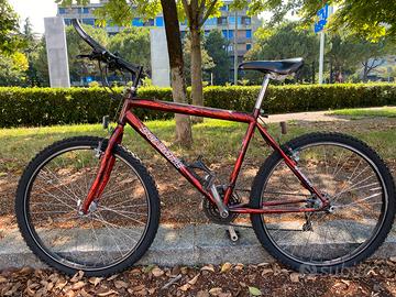 Mountainbike Dolomite pro tech vintage anni 90