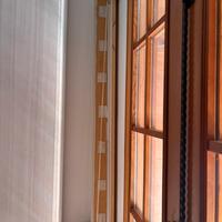 Zineffa con Swarovski