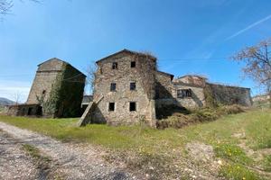 Rif.2460TG57854| rustico piozzano