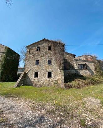 Rif.2460TG57854| rustico piozzano