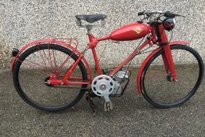 Ducati Altro modello