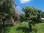 Immagine 14