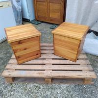 Coppia di sgabelli rustici dal design versatile