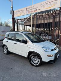 Fiat Panda 1.0 FireFly S&S Hybrid Pandina