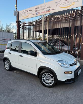 Fiat Panda 1.0 FireFly S&S Hybrid Pandina