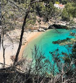 Pugnochiuso (vieste)