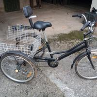 bicicletta 3 ruote triciclo 