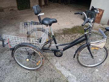 bicicletta 3 ruote triciclo 