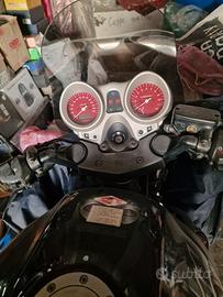 Honda x11( eleven)