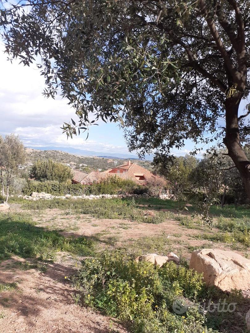 POGGIO DEI PINI TERRENO EDIFICABILE 1400 MQ - Altro