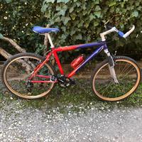 Mountain bike
