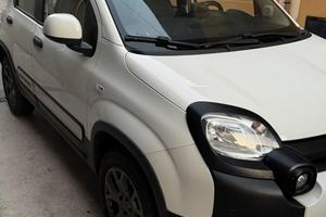 Panda cross 2018