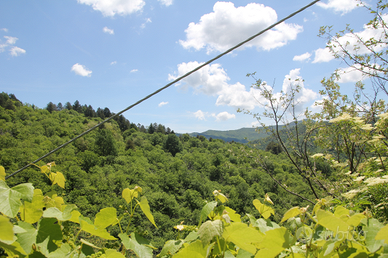 Casetta a Noci , Granaglione, Bologna