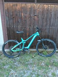 haibike almin 2 anno 2024