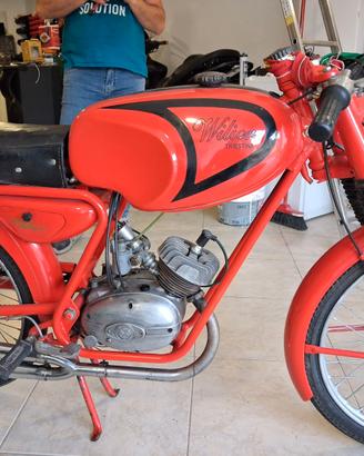 wilier triestina 1963