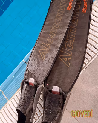 pinne Alemanni Speedy