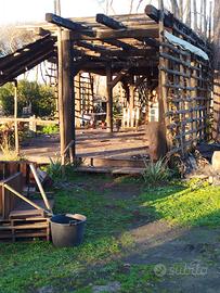 Strutture travi legname castagno