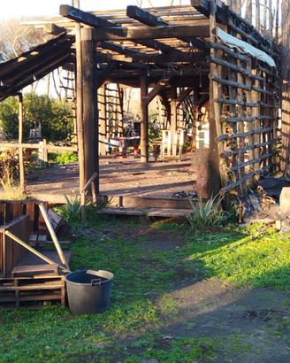 Strutture travi legname castagno