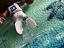 Immagine 5