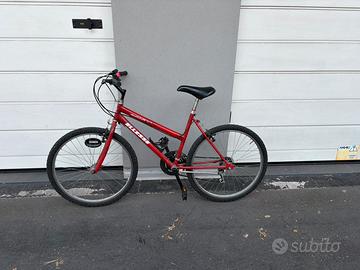 Mountain bike