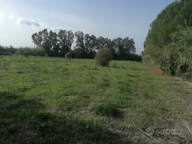 Terreno agricolo su SP60 Baratili San Pietro