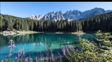 Bilocale in residence