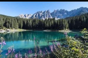 Bilocale in residence