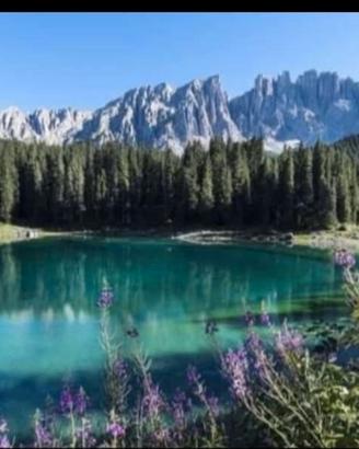 Bilocale in residence