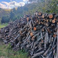 Legna da ardere 
