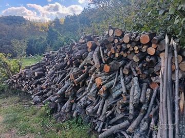 Legna da ardere 