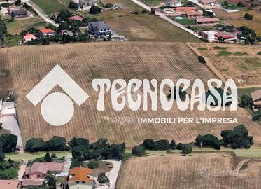 TER. AGRICOLO A ARDEA