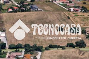 TER. AGRICOLO A ARDEA