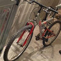 MOUNTAIN BIKE