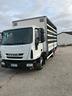 iveco-eurocargo-centina-e-pedana