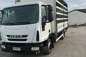 Iveco eurocargo centina e pedana