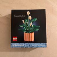 LEGO Botanicals Spatifillo: sigillato