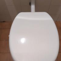 Sanitario WC pozzi Ginori 